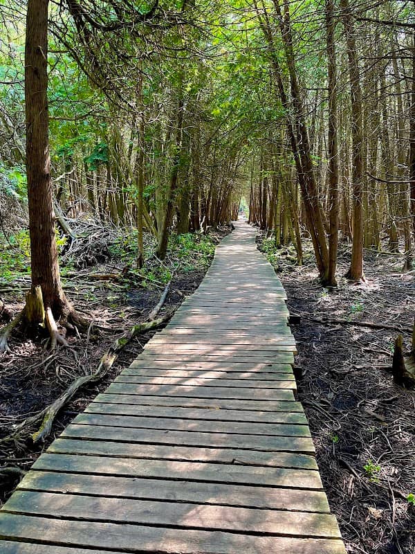 Preservation Park - Image 2
