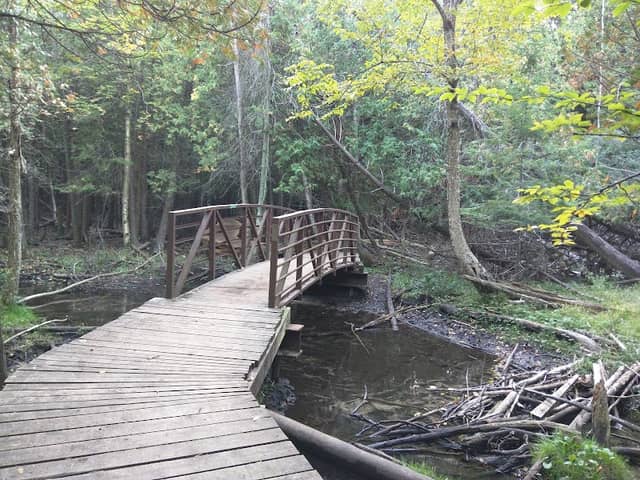 Preservation Park - Image 1