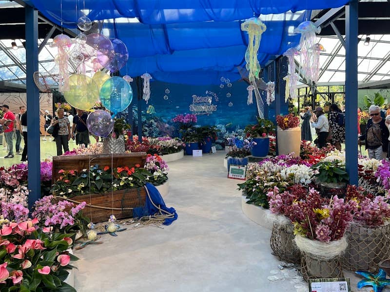 Beatrix Pavilion - Orchids & Anthurium Show - Image 2