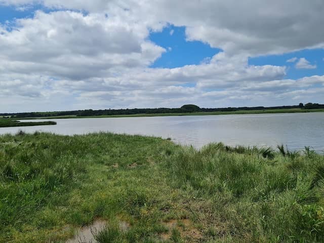 Snape Marshes - Image 1