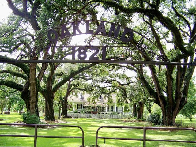 Oakland Plantation - Image 2