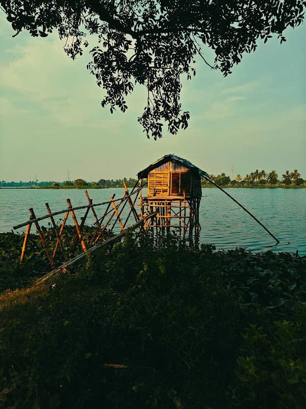 Nurtala Coconut garden - Image 1