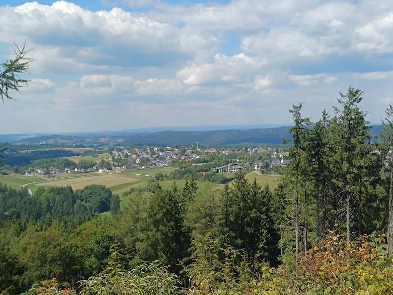 Wald Sign - Image 2