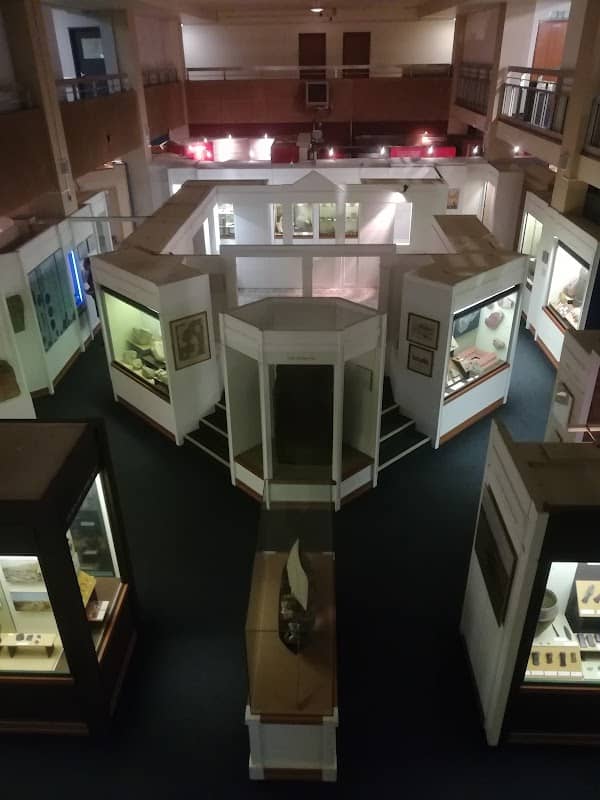 Newport Museum and Art Gallery - Image 2
