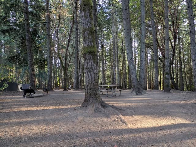 Strawberry Hill Park / Off-leash Dog Park - Image 1