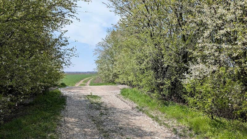 Poľná cesta - Image 1
