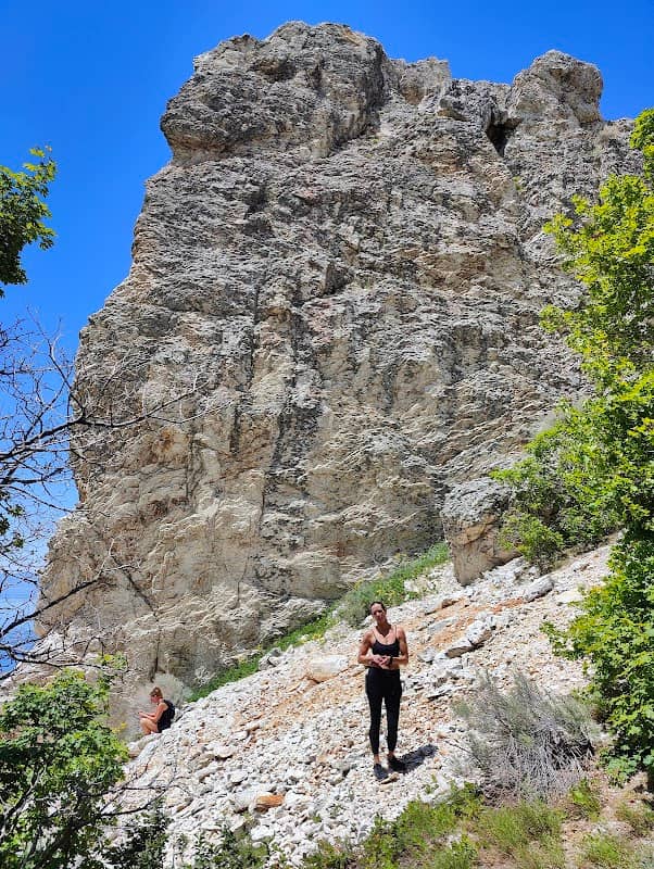 White Rock - Image 1