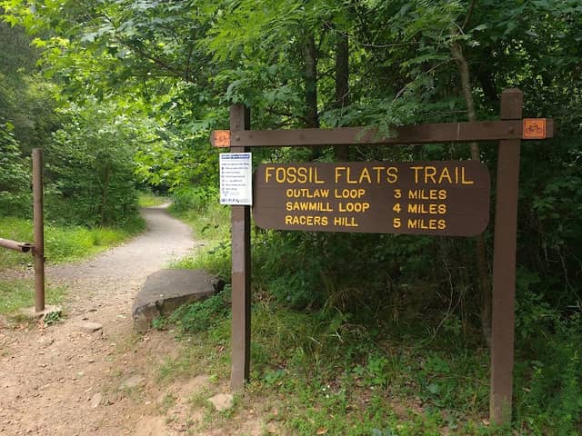 Fossil Flats Trailhead - Image 1