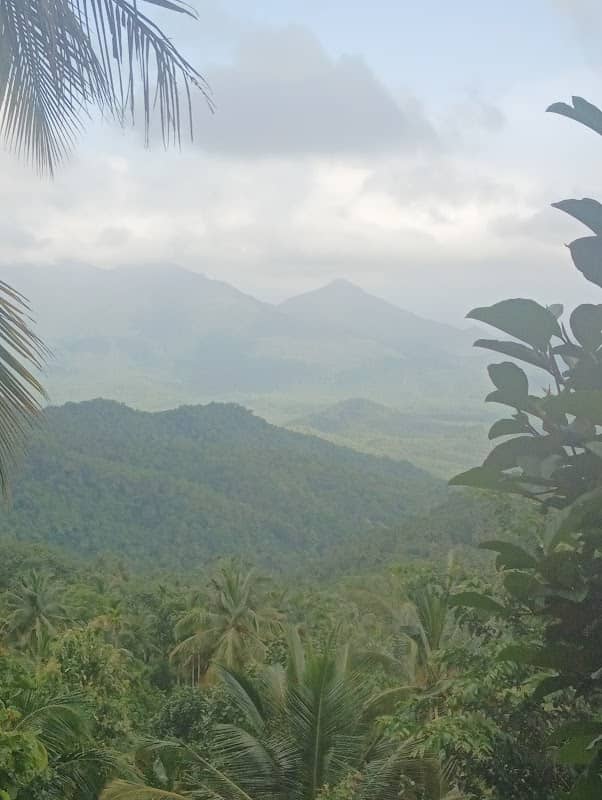 Monuttan paara viewpoint - Image 1