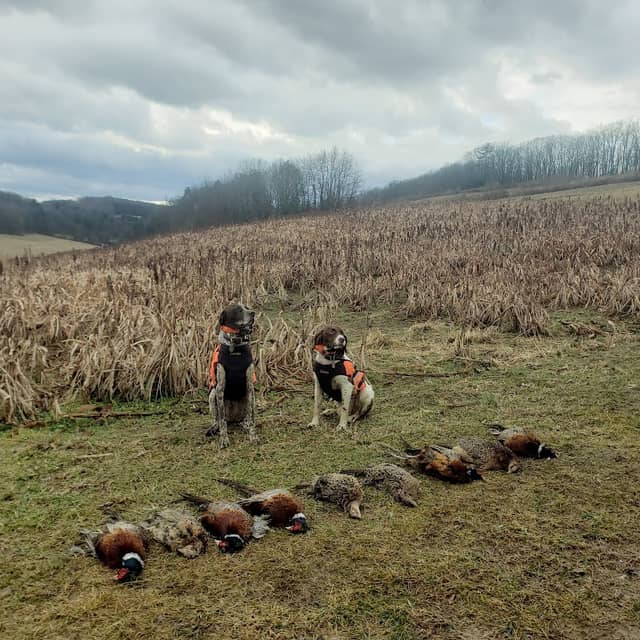Juniata River Game Farm - Image 1