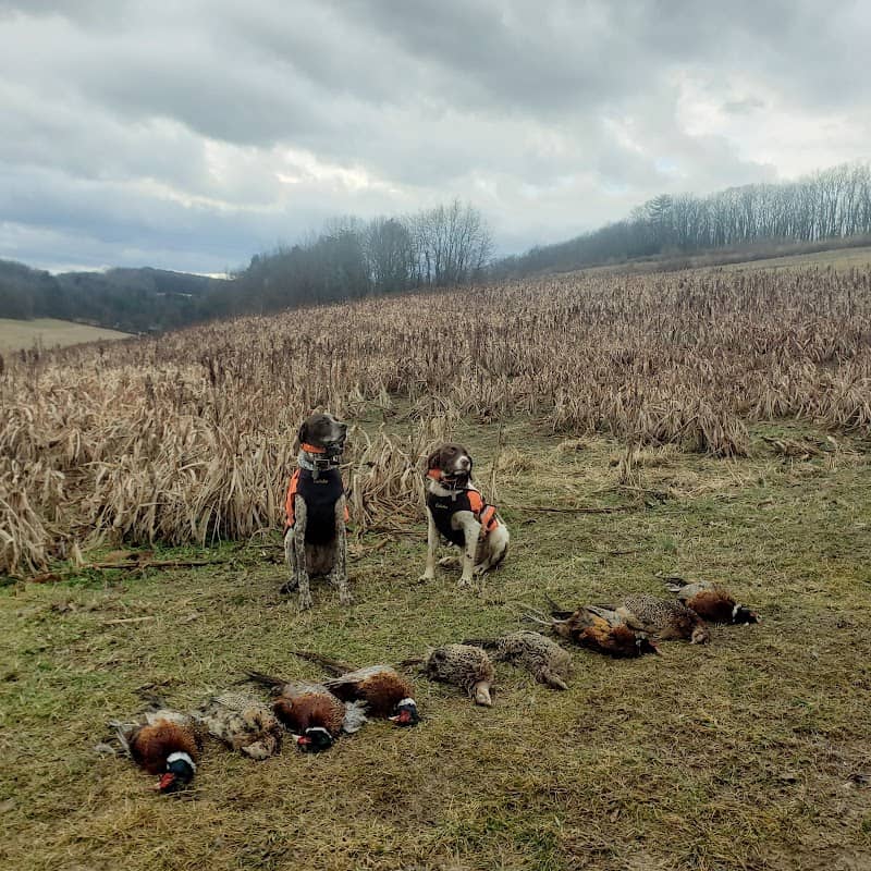 Juniata River Game Farm - Image 1