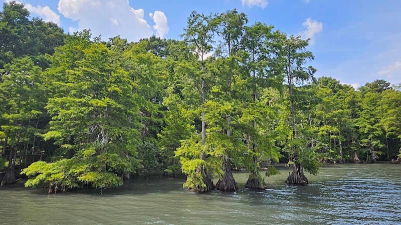 Pettigrew State Park – Cypress Point Access - Image 1