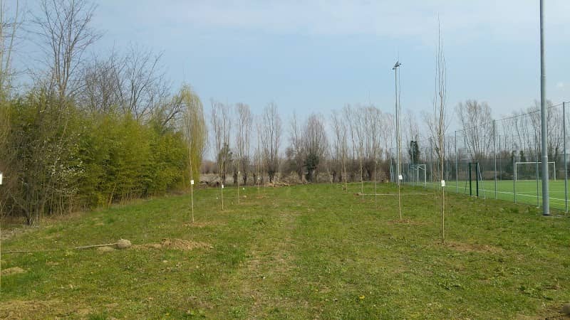 Bosco dei Nati 2017 - Image 1