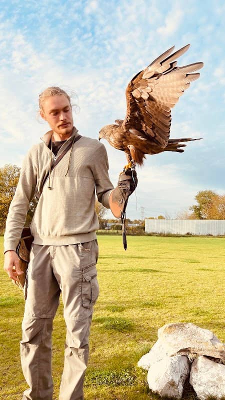 Falconcrest Birds of Prey Park - Image 1