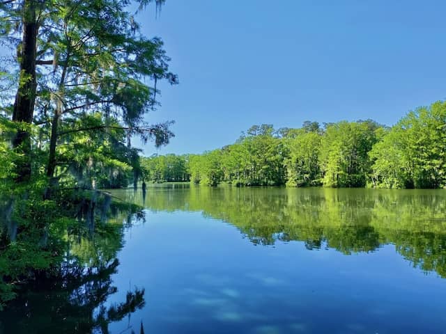 Greenfield Park - Image 2