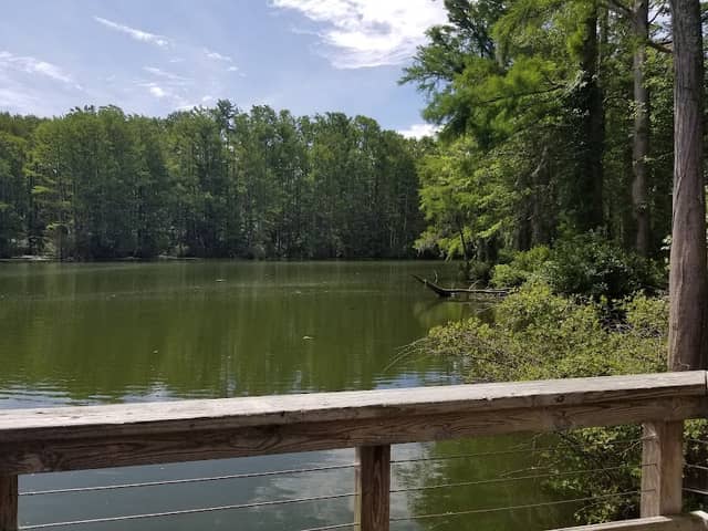 Greenfield Park - Image 1