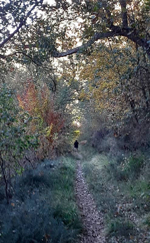Camino Natural del Ebro entre Villaescusa y Orbaneja - Image 3