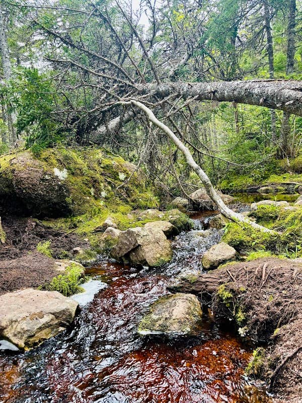 Ennis River - Image 2