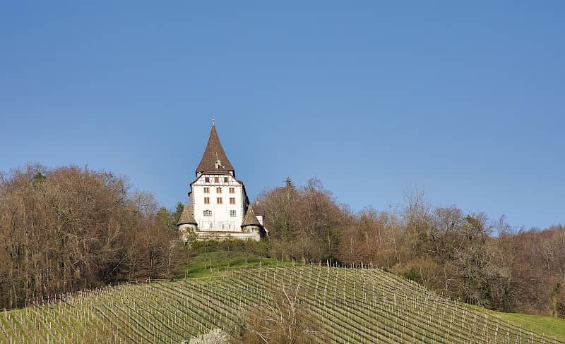 Schloss Weinfelden - Image 2