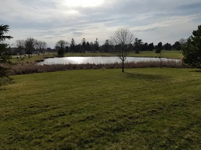 Silent Street Pond Park - Image 2