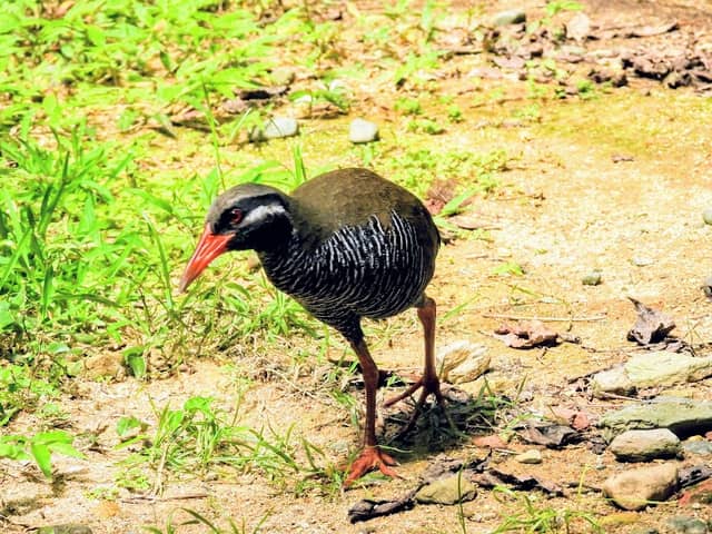 安田くいなふれあい公園ビジターセンター - Image 1