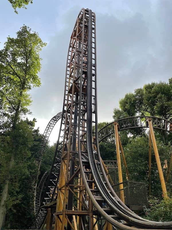 Falcon - Image 1