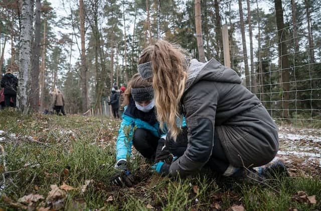 Klimawald Bayreuth 2.0 - Image 2