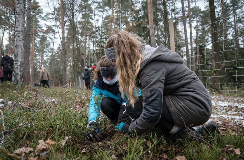 Klimawald Bayreuth 2.0 - Image 2