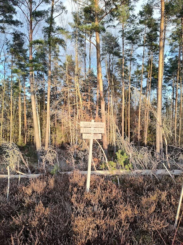 Klimawald Bayreuth 2.0 - Image 3