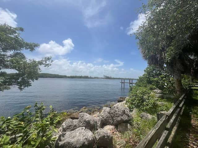 Leatherback Park - Image 2