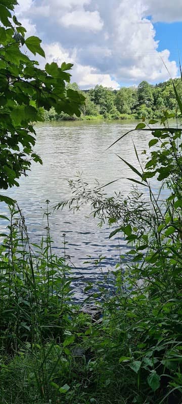 kleiner Picknickplatz an der Donau - Image 1