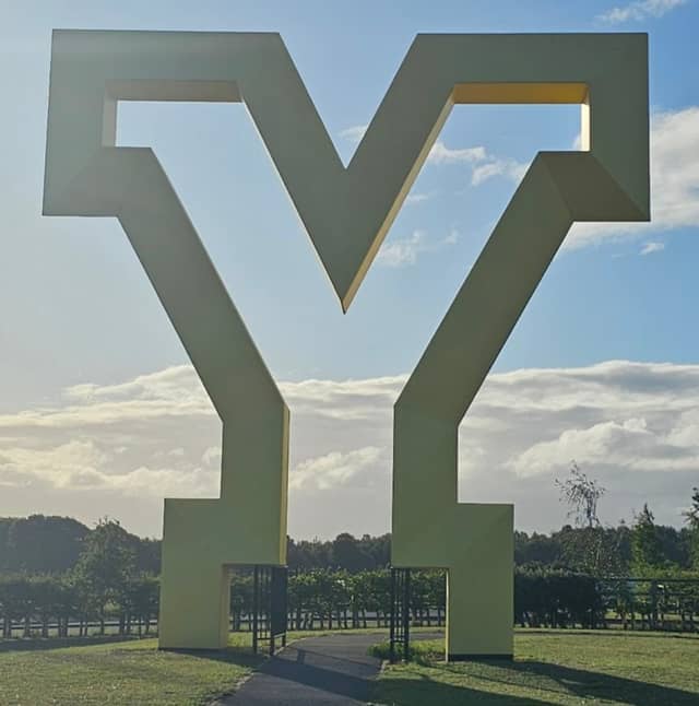 The Big Yellow Y - Gateway to Yorkshire Feature - Image 1