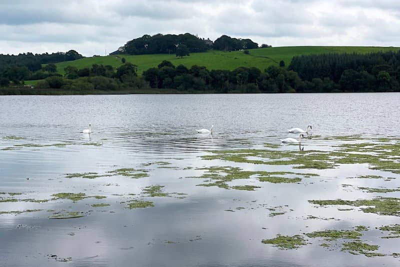 Whitewood Lough Car Park - Image 2