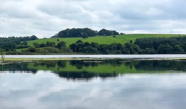 Whitewood Lough Car Park - Image 1