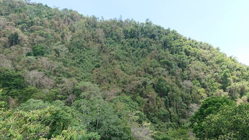 Tranopy Tour - Image 2