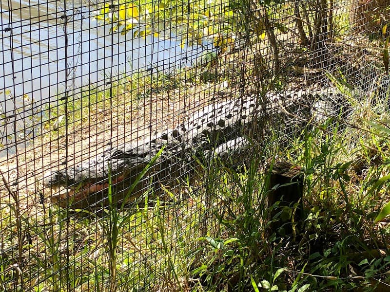 Wild Florida Adventure Park - Image 3