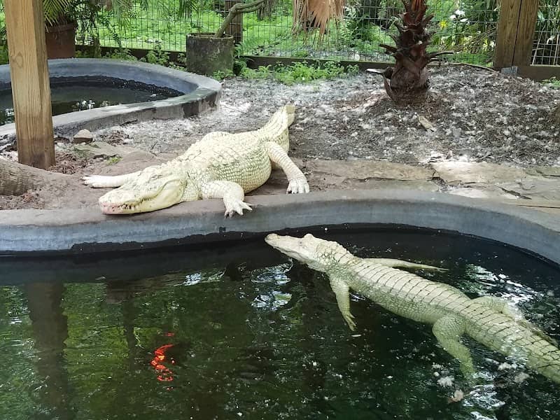 Wild Florida Adventure Park - Image 2