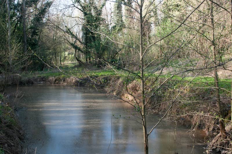 Bosco della Moccia - Image 1