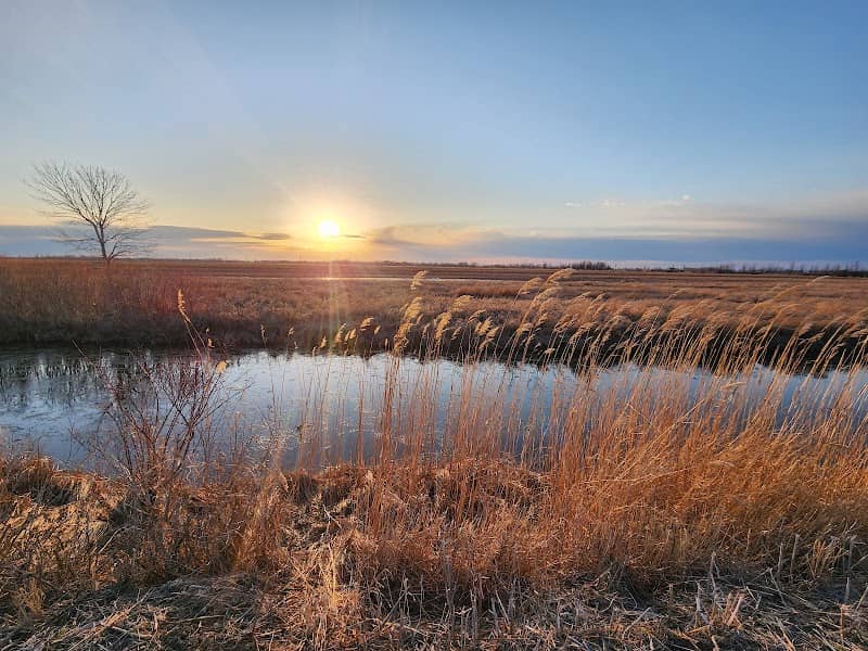 Fish Point Wildlife Refuge - Image 2