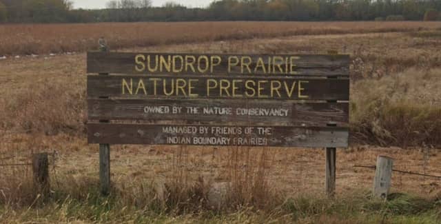 Indian Boundary Prairies - Sundrop Prairie - Image 1