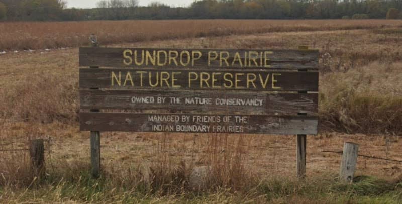 Indian Boundary Prairies - Sundrop Prairie - Image 1