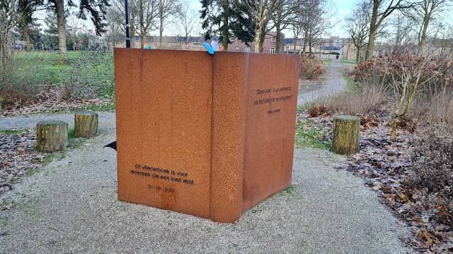 Herinneringsmonument Vlinderboek stint-ongeluk - Image 1