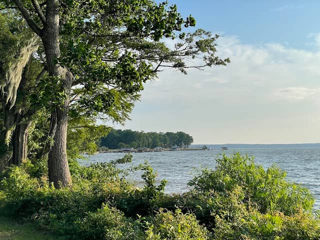 Santee National Wildlife Refuge - Image 1