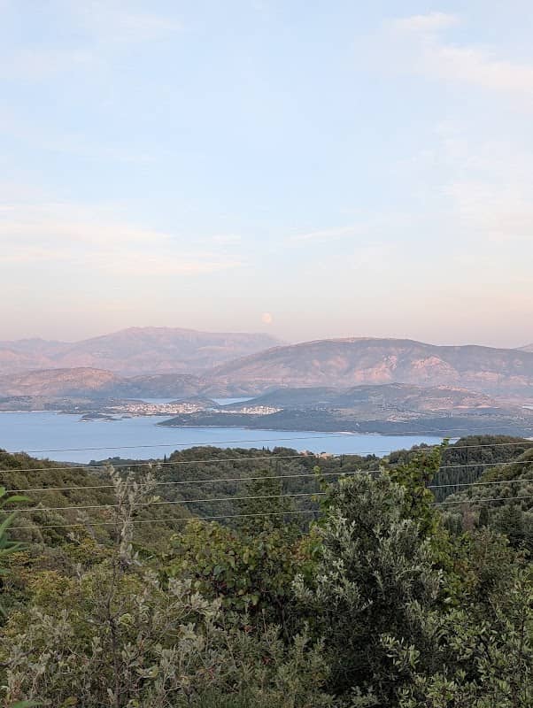 Viewpoint - Image 2