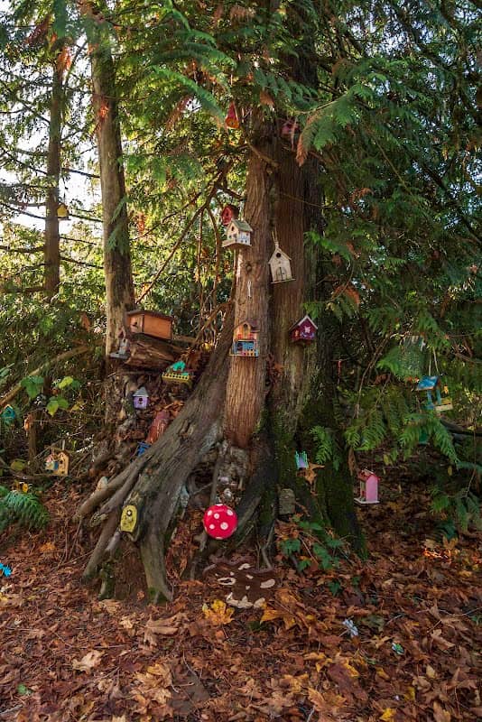 Fairy Lane - Image 1