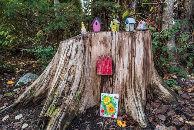 Fairy Lane - Image 2