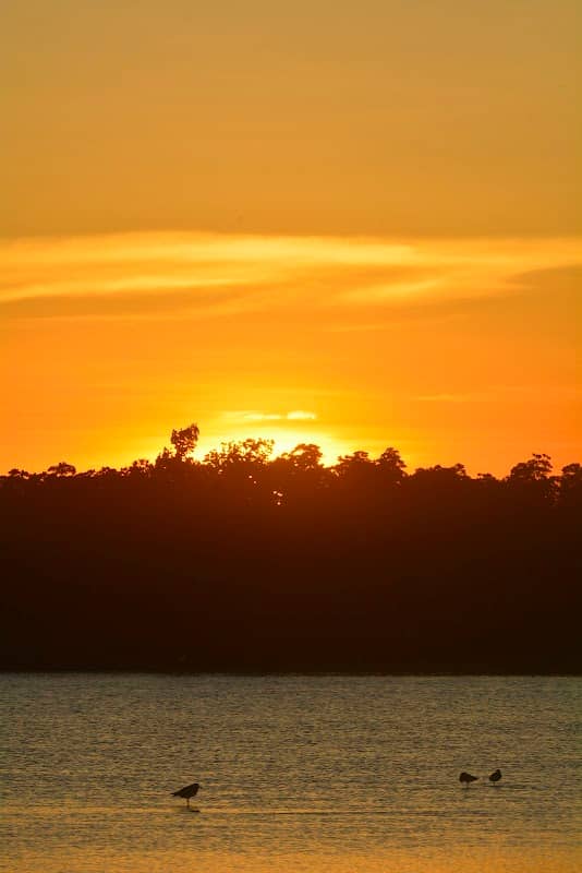 Olango Island Wildlife Sanctuary Ramsar Site - Image 1