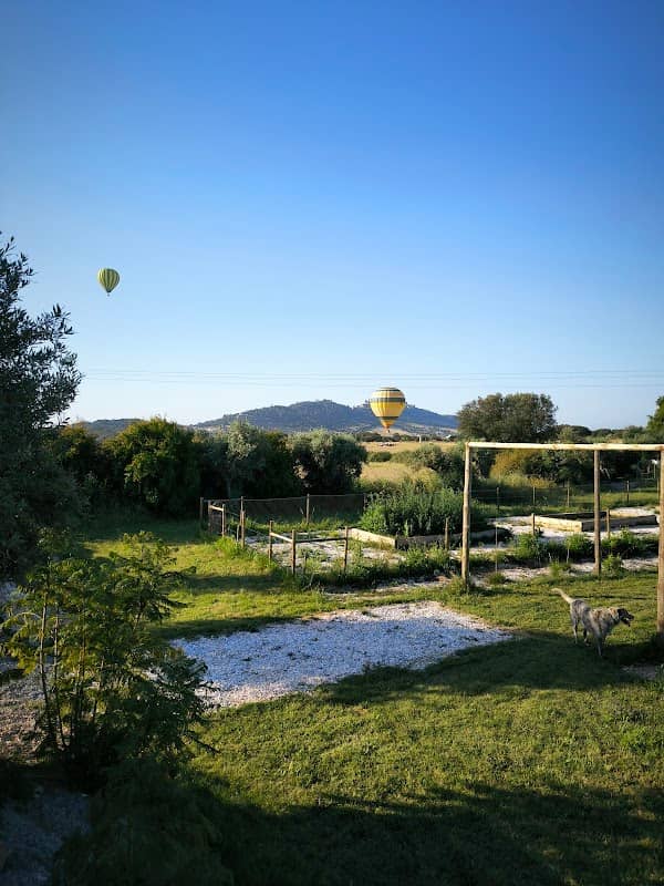 Sofia In Monsaraz - Image 2