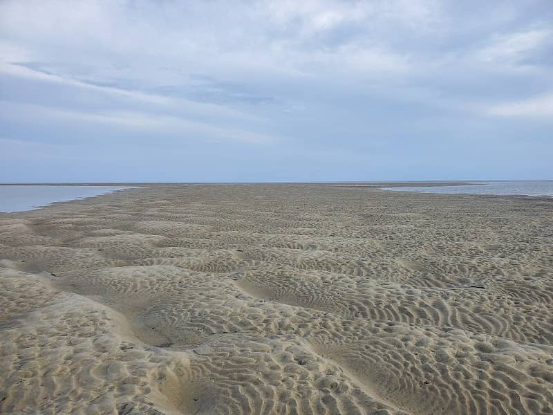 Otter Island Beach - Image 1