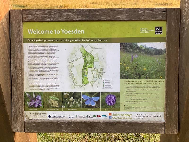Chiltern Nature - Yoesden - Image 2